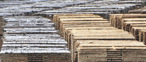 wood pile
